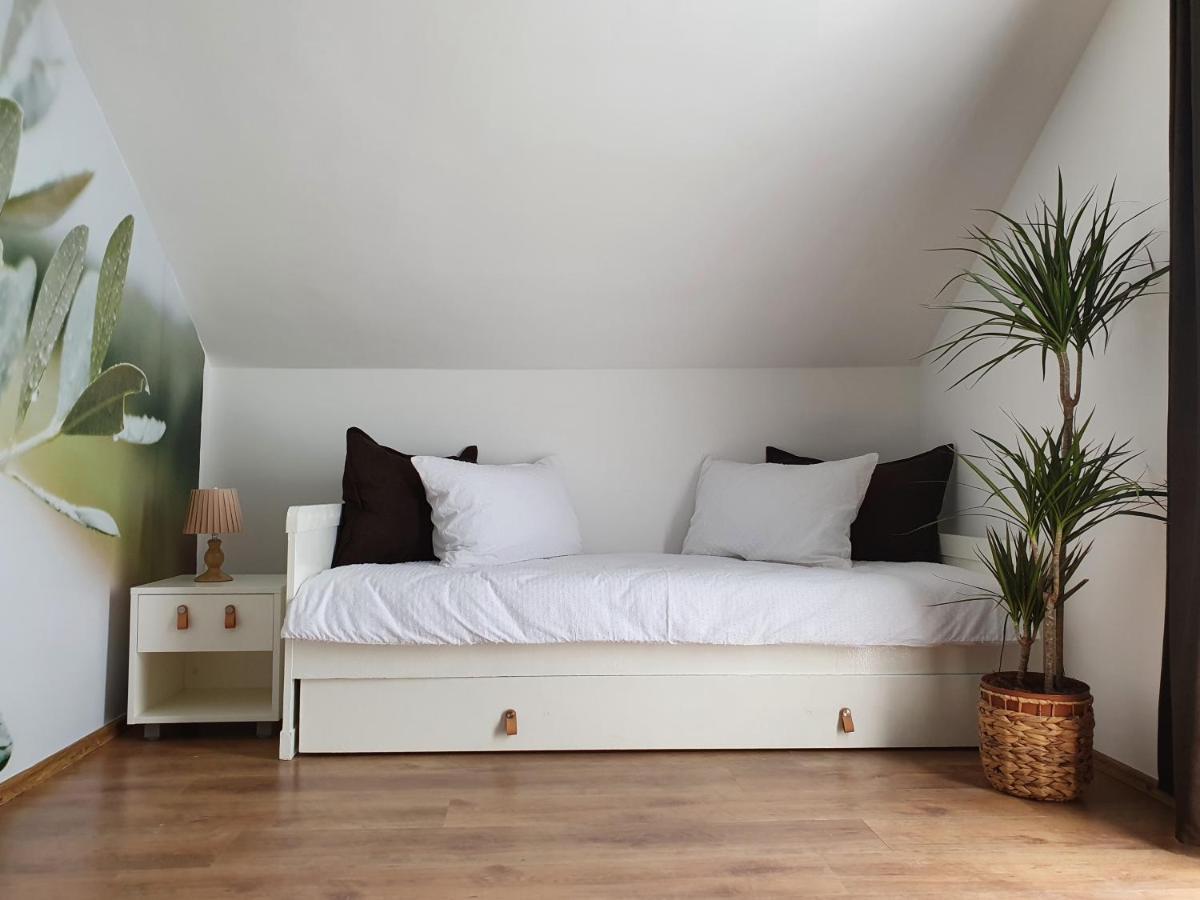 Apartmani Masline 야세니스 외부 사진